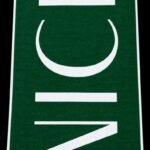 1 পিস  ভিআইপি  টাওয়াল  VIP Towel   Green color Nice print